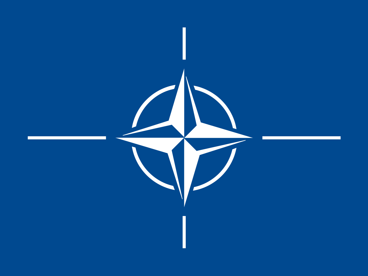 GÜRCÜ'LER NATO ÜYELİĞİNİ DESTEKLİYOR